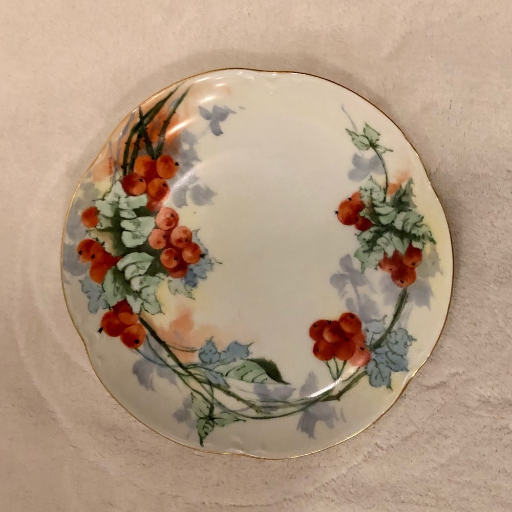JHR Bavaria Slight Scalloped Edge Fruit Design Plate VGUC